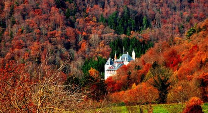 http://cdn4.list25.com/wp-content/uploads/2014/09/www.thegoodlifefrance.com-chateau-in-autumn-annecy.jpg