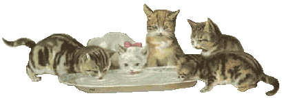 kittens and tray of milk  animation