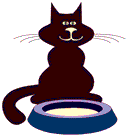 black cat with milk  animation