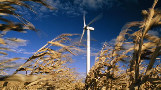 http://cdn.list25.com/wp-content/uploads/2012/10/windfarm.png