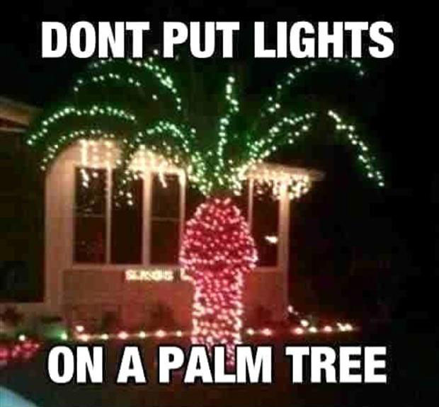 http://www.dumpaday.com/wp-content/uploads/2013/03/a-never-put-christmas-lights-on-a-palm-tree.jpg