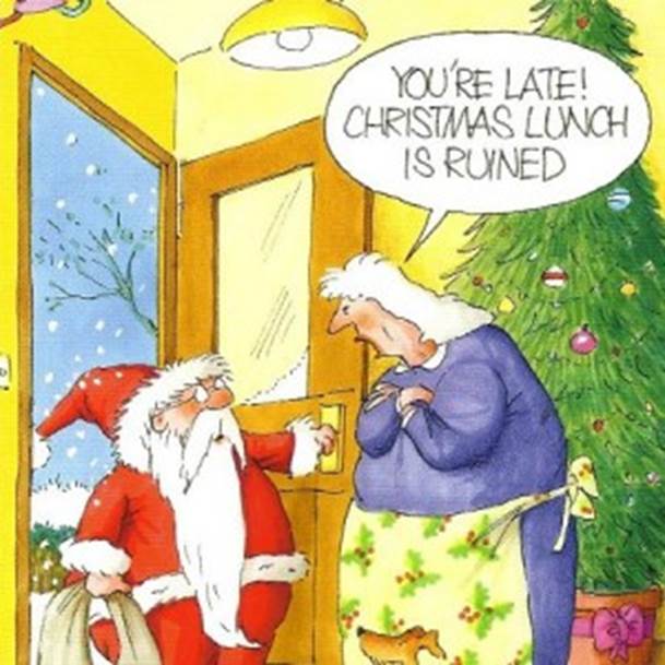 Funny Christmas Lunch Pictures