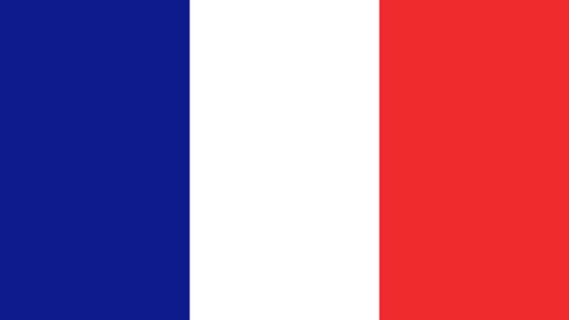 http://cdn.list25.com/wp-content/uploads/2012/11/flag-France_svg.png