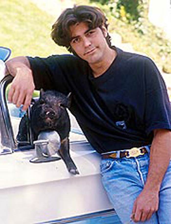 http://cdn4.list25.com/wp-content/uploads/2012/06/George-Clooney-with-Max-the-pig1.jpg