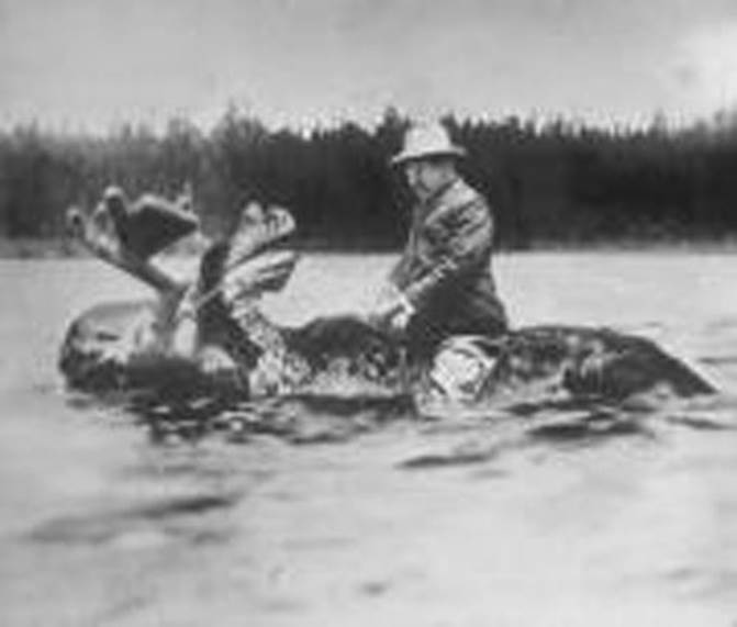 http://cdn2.list25.com/wp-content/uploads/2012/06/Teddy-Roosevelt-riding-a-moose2.jpg