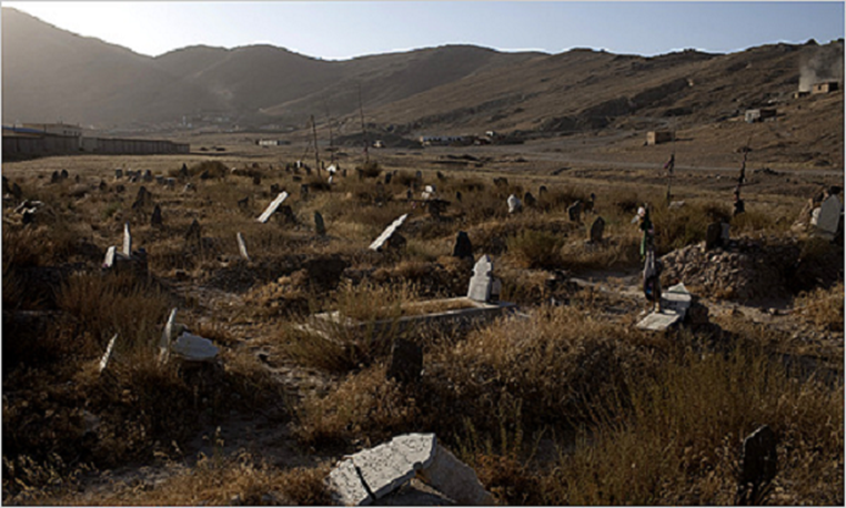 http://cdn4.list25.com/wp-content/uploads/2013/04/La-Noria-Cemetery-Chile.png