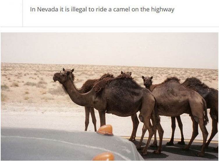 Crazy driving laws around the world8 Funny: Crazy driving laws around the world