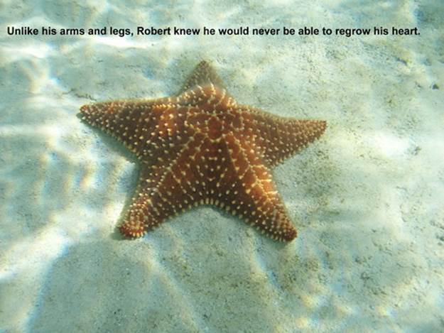 http://cdn3.list25.com/wp-content/uploads/2013/04/emo-starfish.png