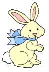 funny  rabbit  animation