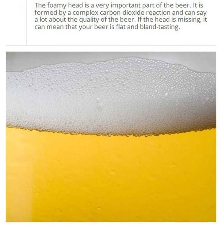 Beer facts21 Funny: Beer facts