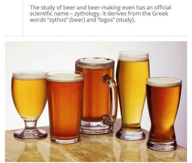 Beer facts24 Funny: Beer facts
