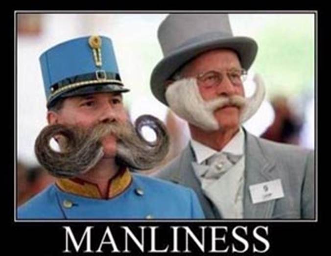 http://quicklol.com/wp-content/uploads/2013/03/awesome-man-moustache.jpg