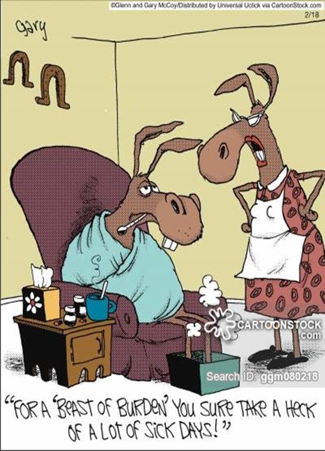 http://lowres.cartoonstock.com/animals-donkey-ass-beast_of_burden-burden-work-ggm080218_low.jpg