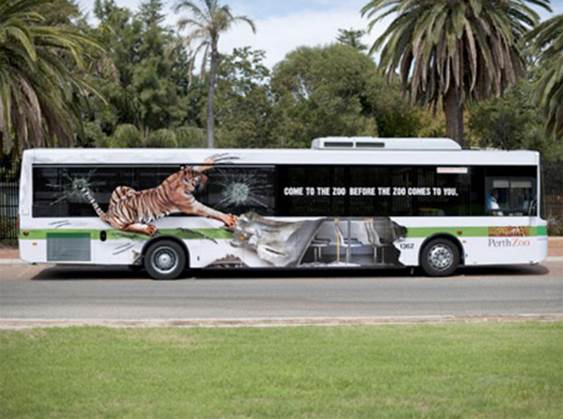 Perth Zoo Tiger Bus