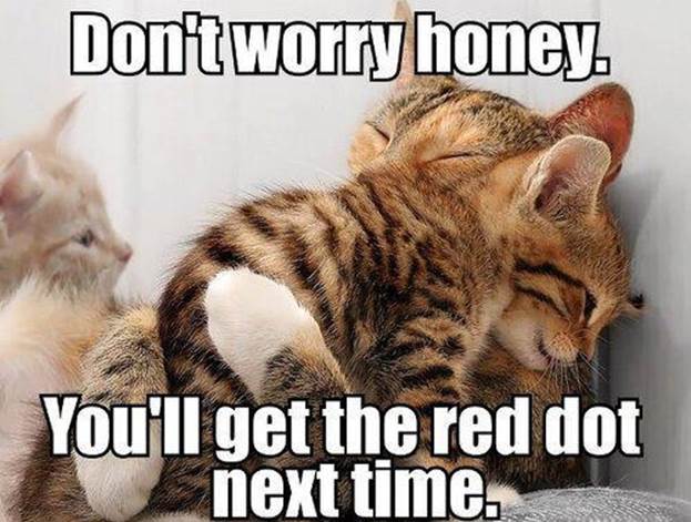 http://funnyasduck.net/wp-content/uploads/2013/01/funny-cats-kittens-hugging-dont-worry-catch-red-dot-next-time-pics.jpg
