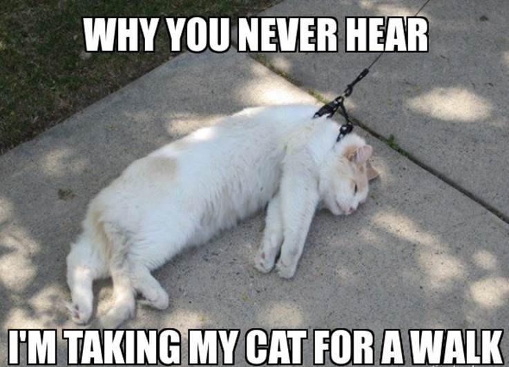 http://www.roflcat.com/images/cats/I_m_Taking_My_Cat_For_A_Walk.jpg