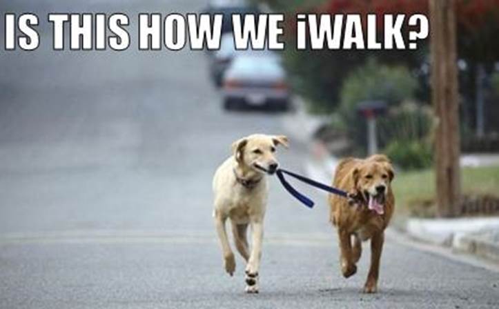 https://houstonspca.files.wordpress.com/2013/11/dog-walking-dog-iwalk.jpg
