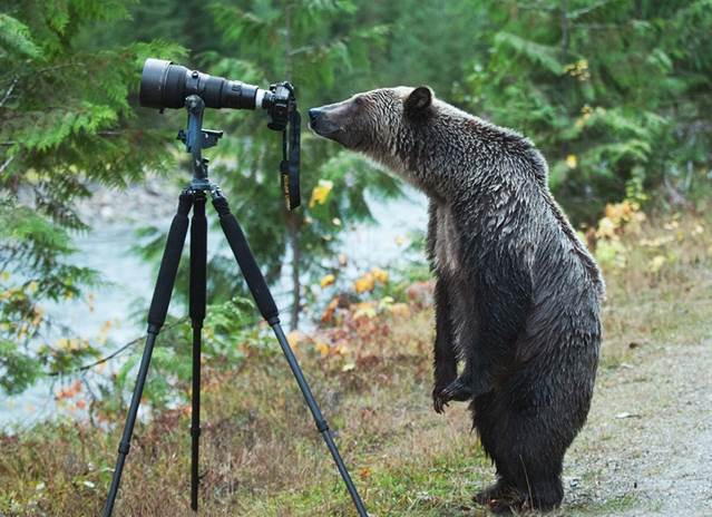 animals-with-camera-helping-photographers-9__880