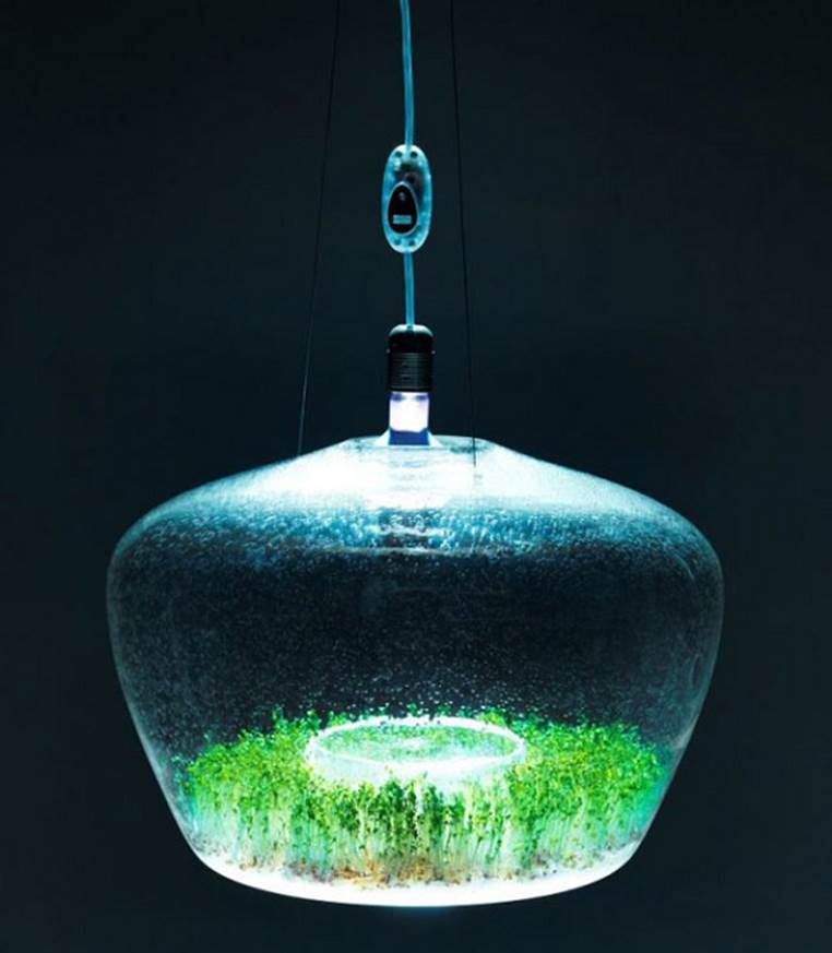 http://cdn3.list25.com/wp-content/uploads/2013/06/Suspended-Glass-Greenhouse-Lamp.png