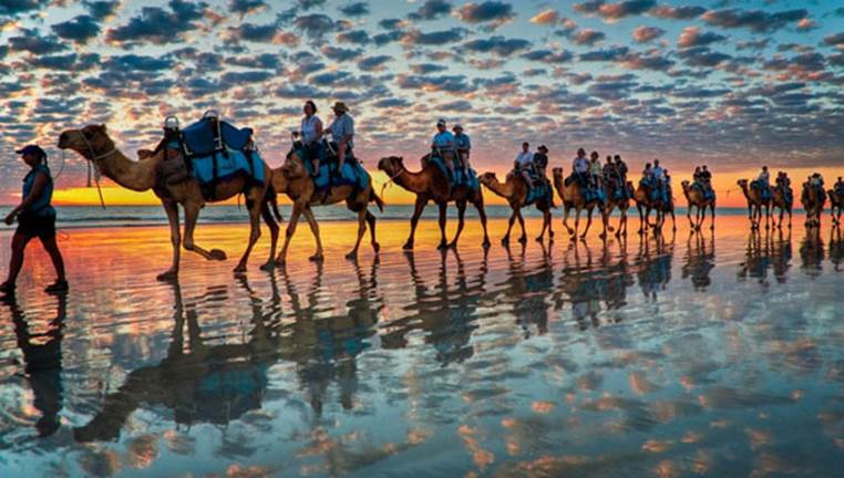Caravan on camels