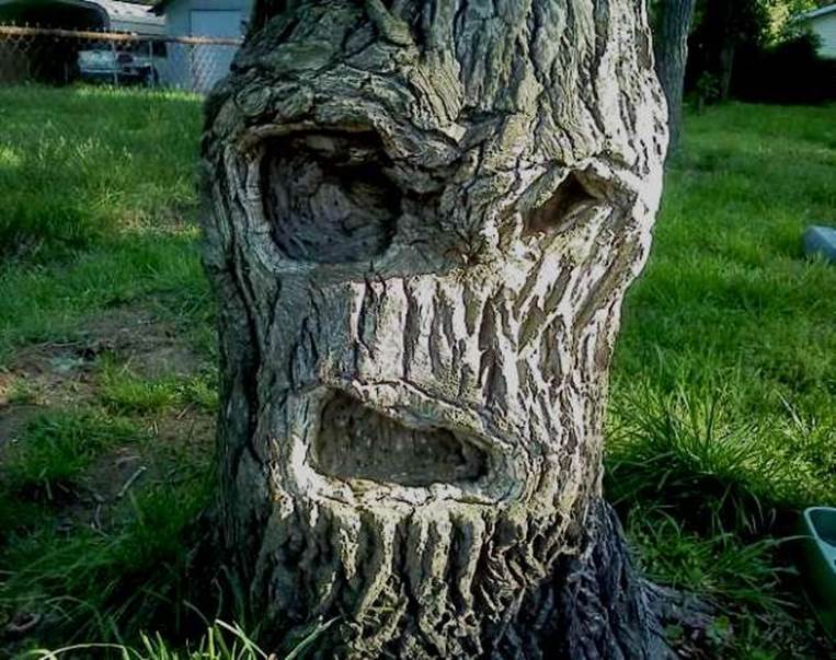 scary tree