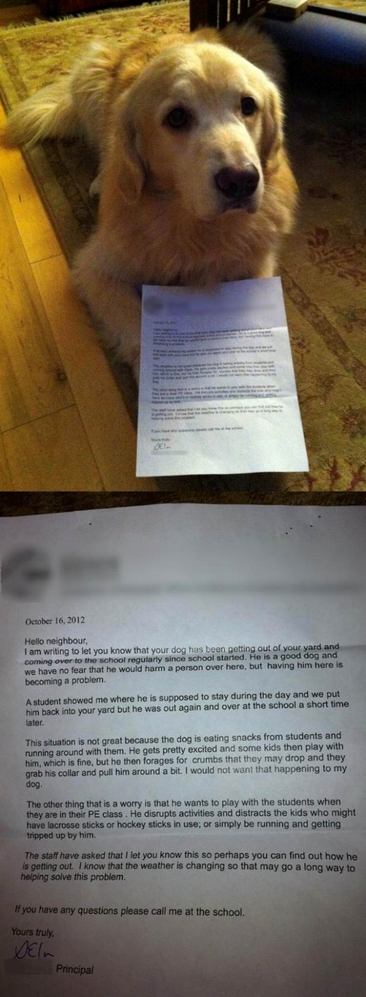 Hilarious Letter About A Bad Dog