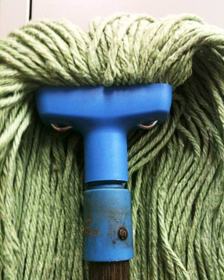 scary mop