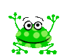 Cute Froggie