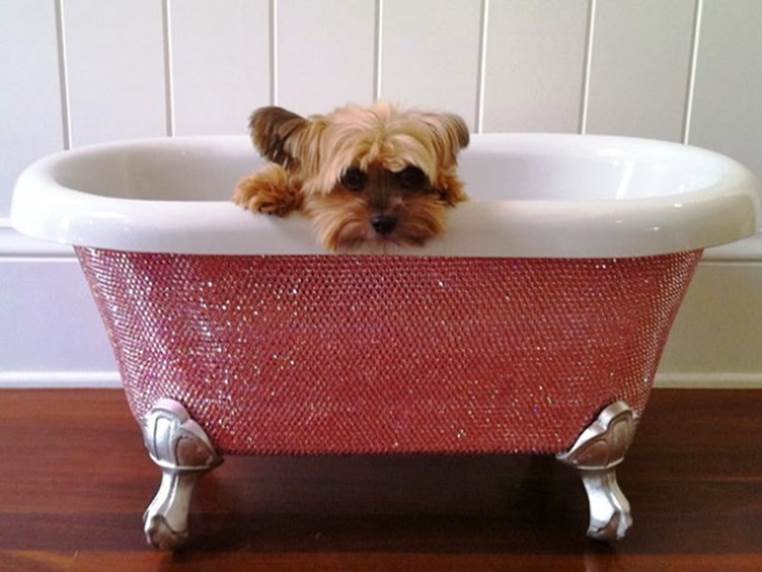 Diamond bathtub for puppies 