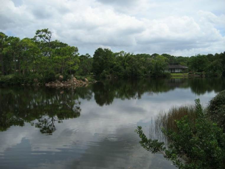 The Morikami Museum and Japanese Gardens at Delray Beach is the only museum in the United States dedicated exclusively to the living culture of Japan.