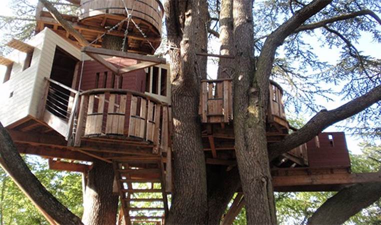 Treehotel is a hotel in Sweden that has all it's rooms exactly where you might suspect....in the trees!