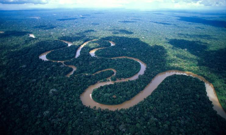 http://vignette3.wikia.nocookie.net/rio/images/5/56/Amazon_river_oxbow.jpg/revision/latest?cb=20140327161652