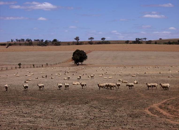 Drought in Australia