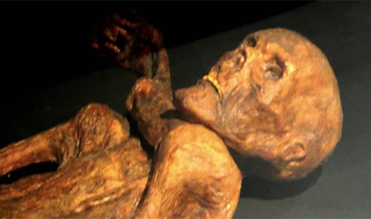Ötzi the Iceman, the oldest mummy every found in Europe, had several carbon tattoos