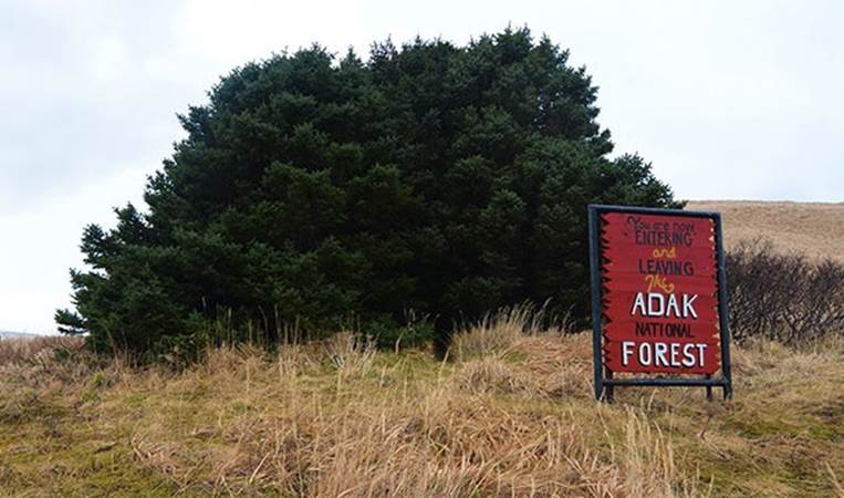Adak National Forest is the smallest in North America. It only has 33 trees.