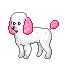 pink earer poodle animation