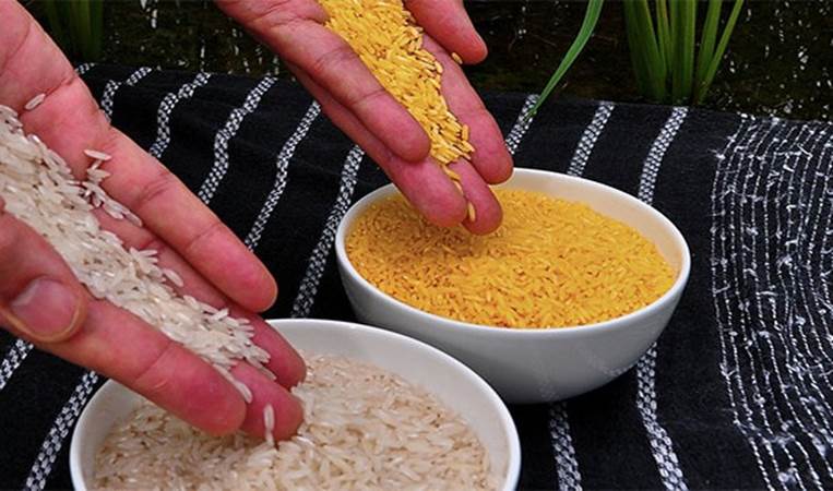 Vitamin A enriched rice (developed in the 90s and called Golden Rice) could have been used to prevent childhood blindness in many countries but was rejected due to concerns over GMO foods (genetically modified)
