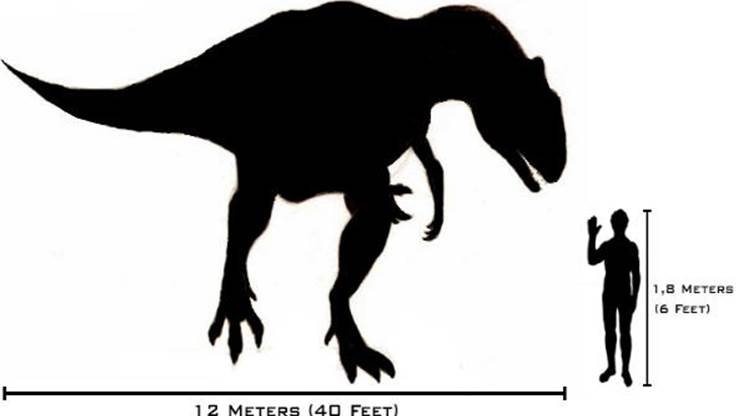 Dinosaur's size