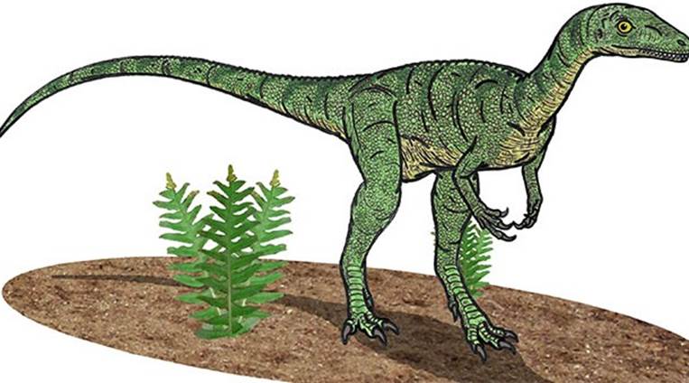 One of the earliest known dinosaurs is the Eoroptor, which means 