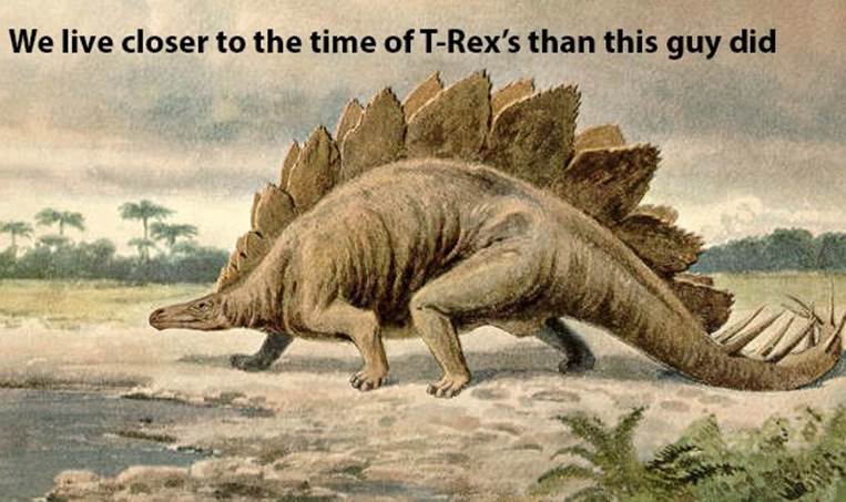 Although they are always seen together in movies, the Stegosaurus and Tyrannosaurus didn't live at the same time. By the time the Tyrannosaurus appeared, the Stegosaurus had been extinct for 80 million years. The crazy thing is that the time between us right now and the Tyrannosaurus is shorter than that!