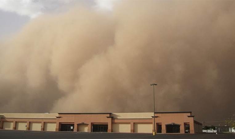 Roughly 2,500 square kilometers of land in China turns to desert every year. This causes dust storms in other parts of the world