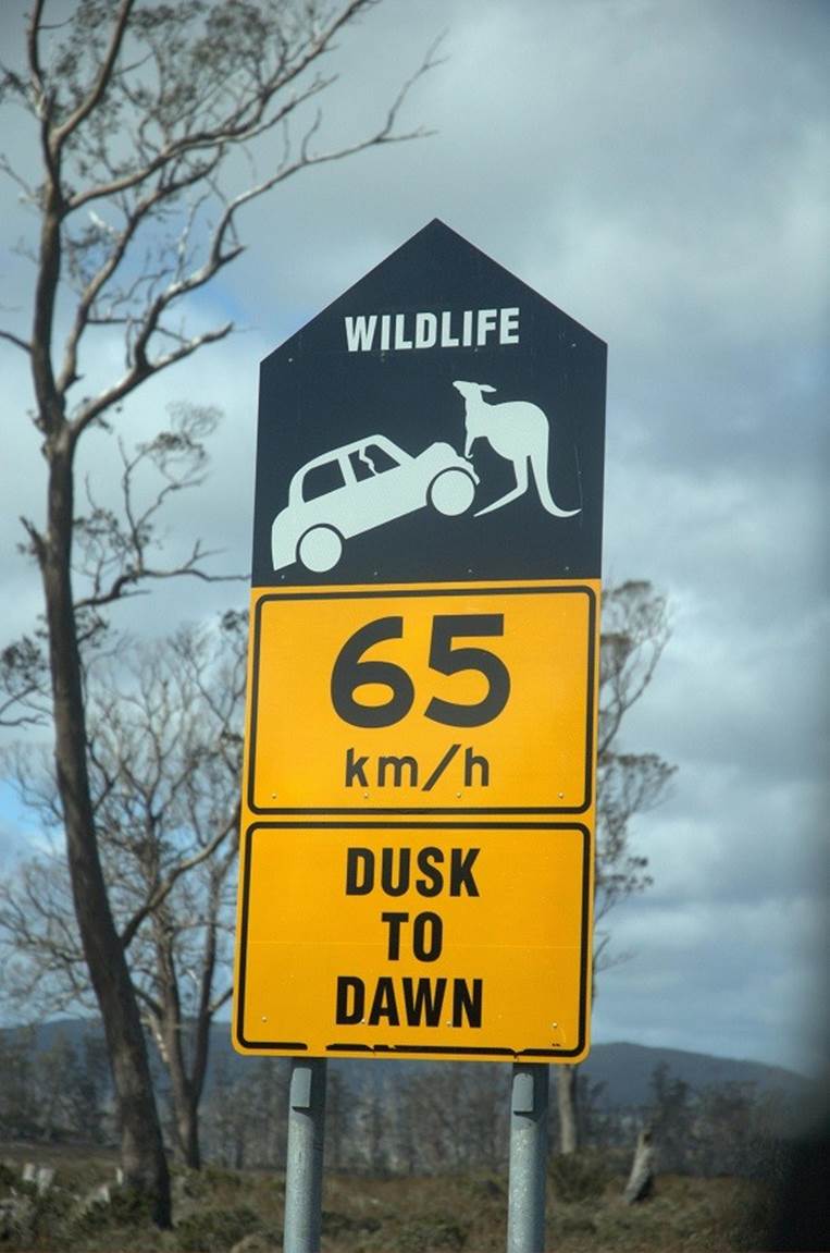 Kangaroo-sign-in-Tasmania