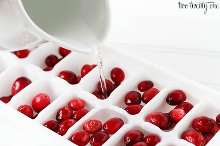 cranberry-ice-cubes